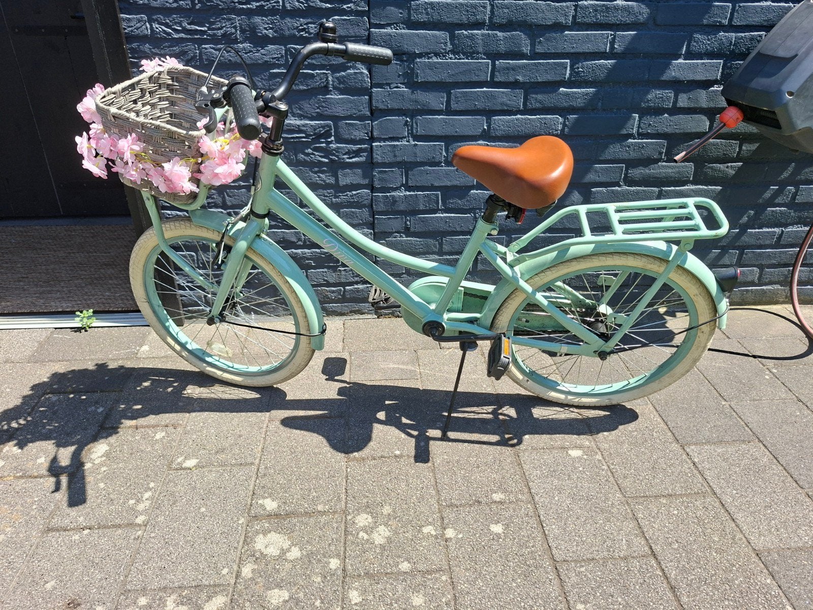 Diva kinderfiets 20 inch, Ophalen, Terugtraprem, Gebruikt, Handrem