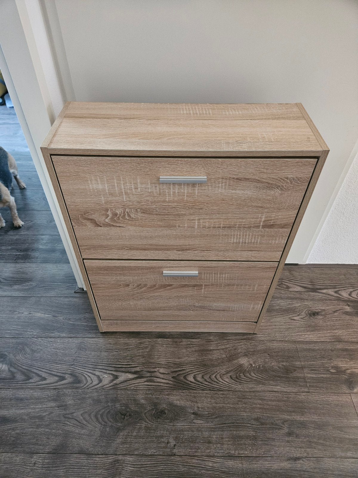 Schoenenkast met 2 kleppen - Houtlook, Ophalen, Gebruikt, Modern, Houtlook