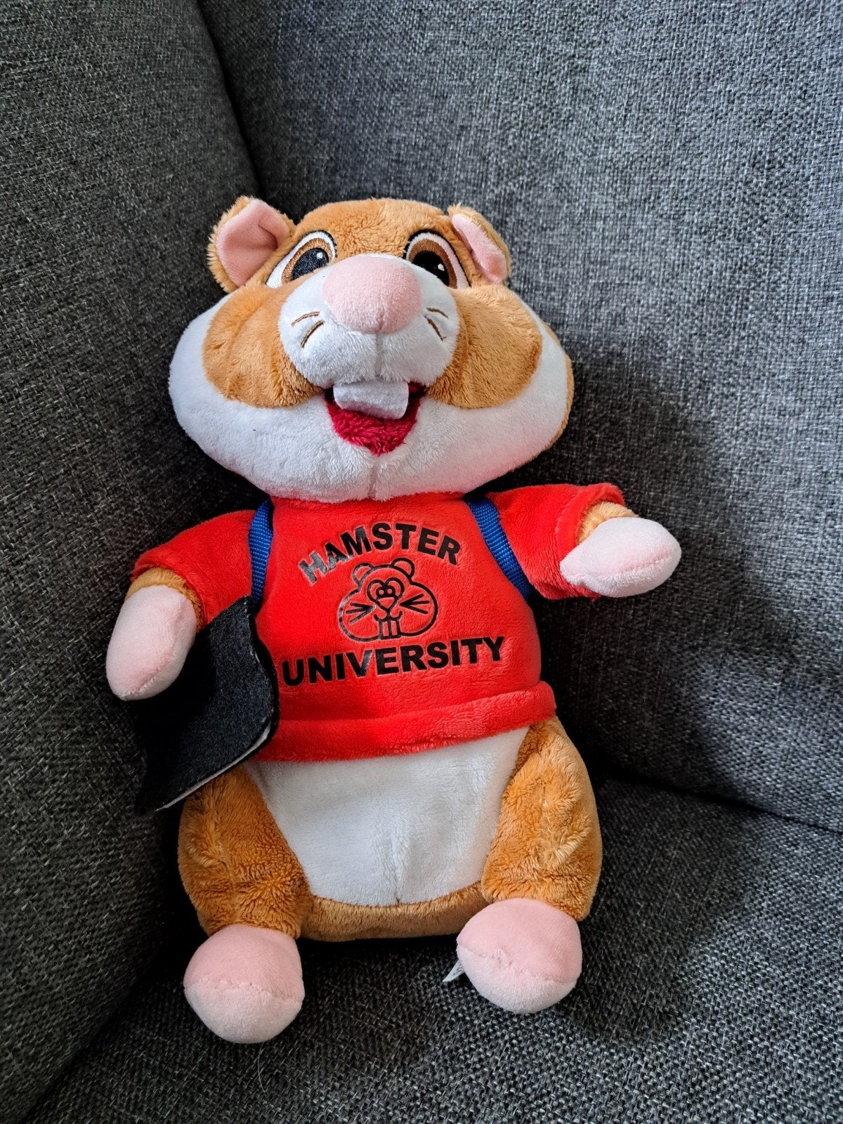 AH hamster university, Albert Heijn, Ophalen of Verzenden