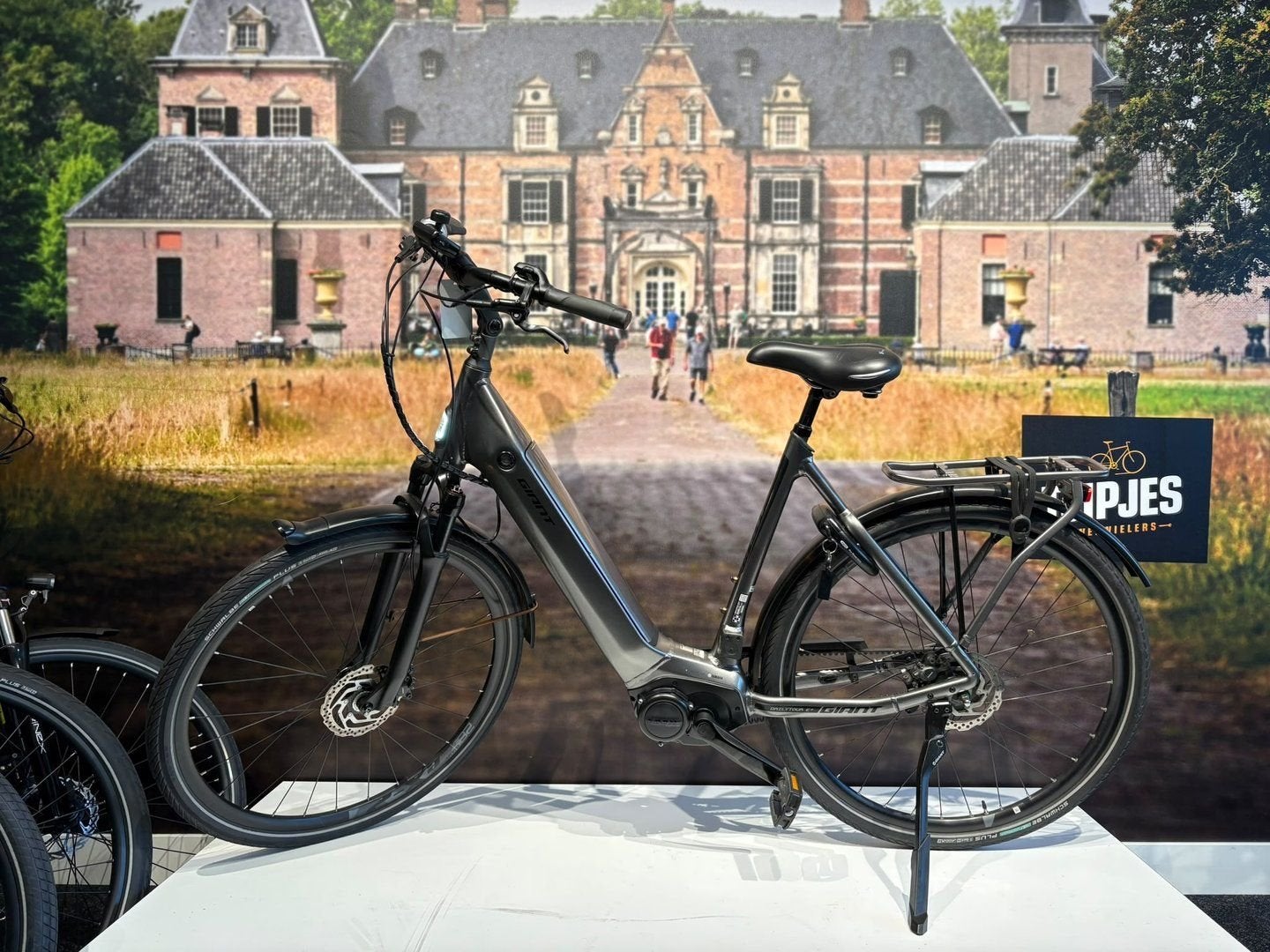 Giant DailyTour Dames E-bike | 57 cm | ACTIE €1.995, Gebruikt, -, -, -