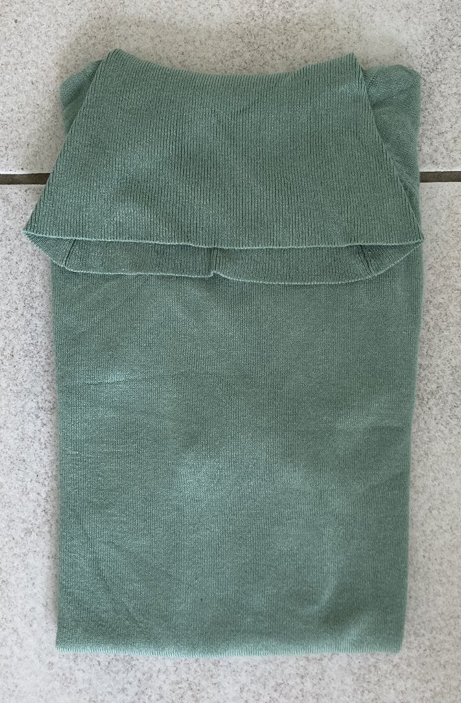 mooie gladde coltrui 44 korte mouw DressIn bijna nieuw, Maat 42/44 (L), Ophalen of Verzenden, Zo goed als nieuw, Dress.In
