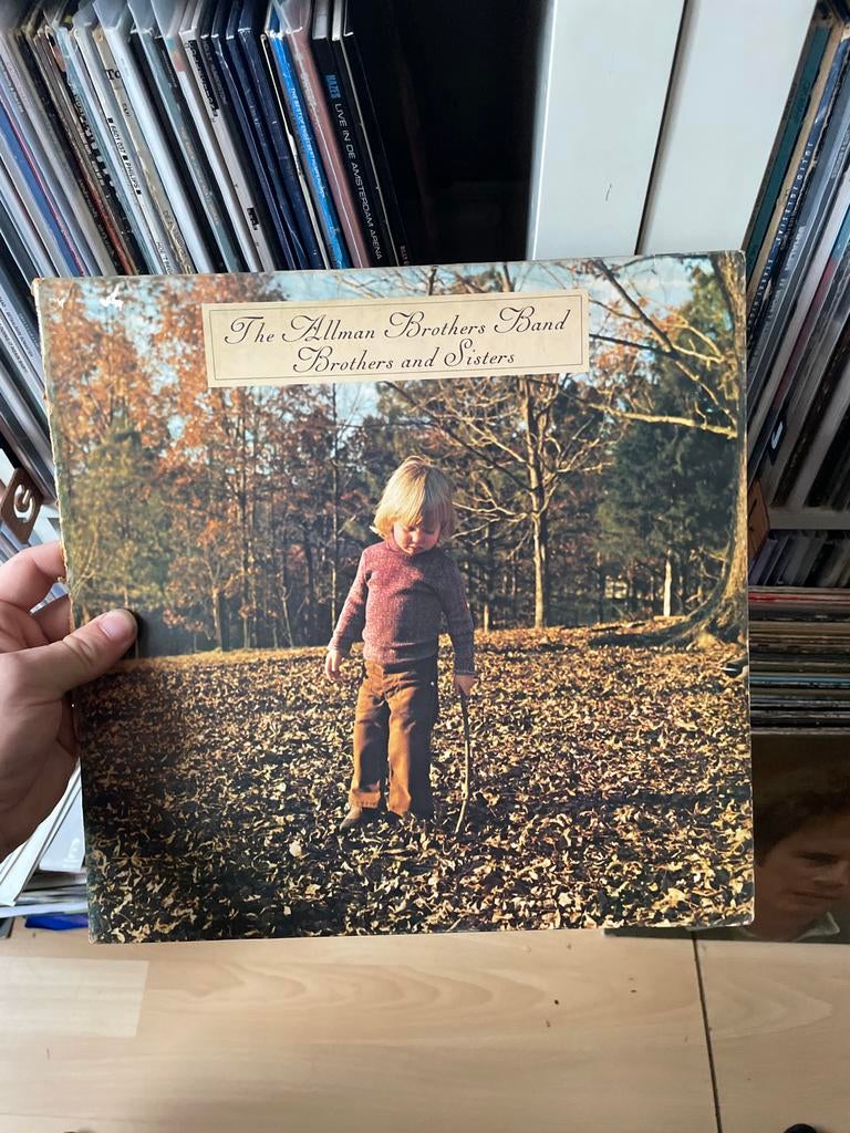 The Allman Brothers Band - Brothers and Sisters vinyl lp, Ophalen of Verzenden, 1970 - 1979, Gebruikt, 12 inch
