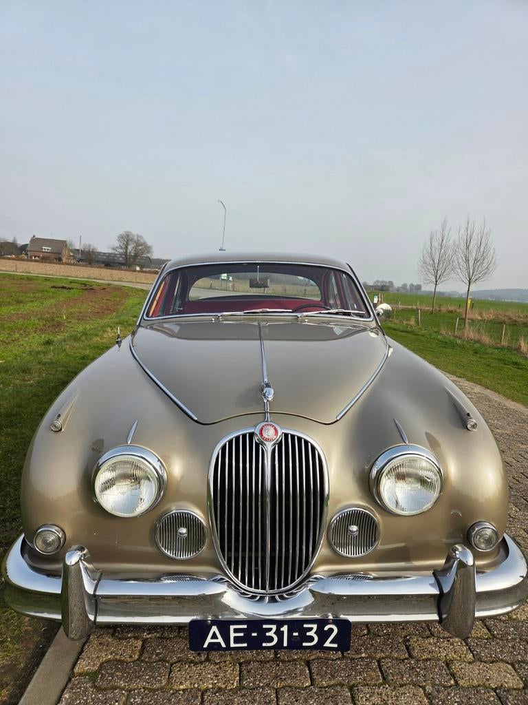 Jaguar 1960 Grijs, Auto's, Jaguar, Automaat, 1490 kg, Overige modellen, Leder