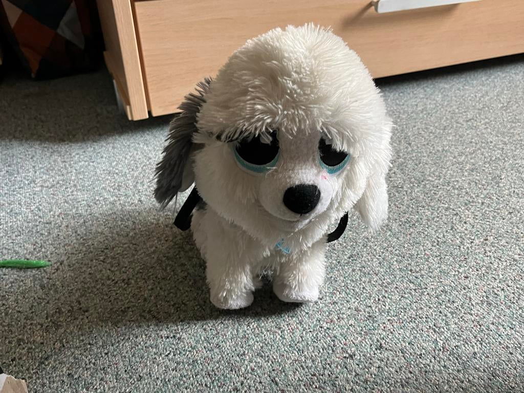 Schattige witte pluche hond met grote ogen, Overige merken, Overige karakters, Zo goed als nieuw, Middelgroot (20 tot 80 cm)