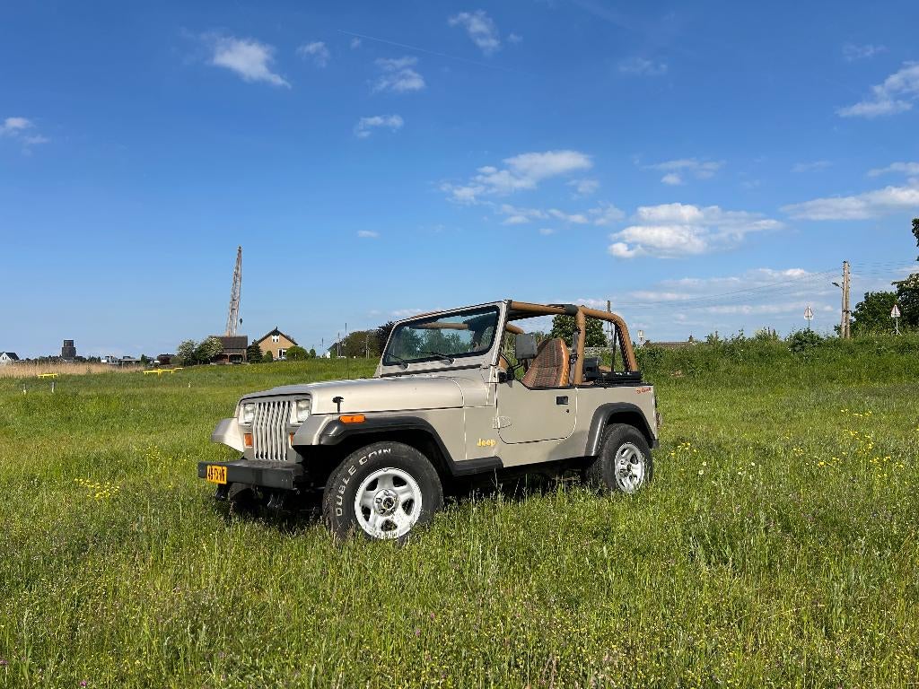 1995 Jeep Wrangler YJ Rio Grande - Origineel - 115.700 km., Auto's, 121 pk, Open dak, 2462 cc, Beige