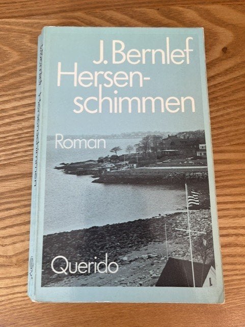 boek Hersenschimmen, Ophalen of Verzenden, Gelezen