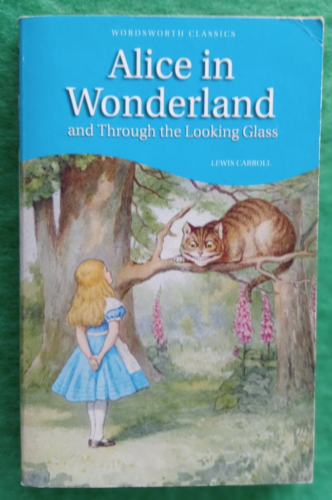 !! 🩵 Alice in Wonderland 🧡 !!, Ophalen of Verzenden, Gelezen, Lewis Carroll.