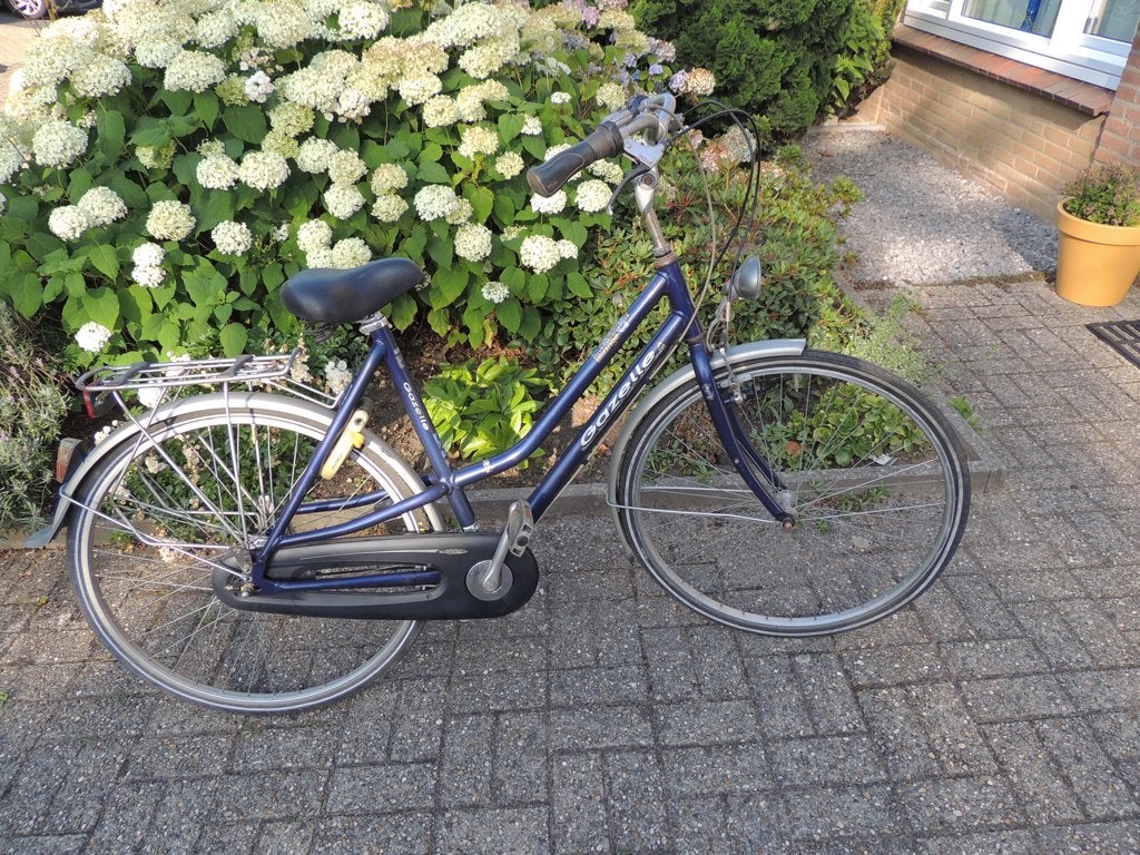prima gazelle 7 nexus Versnel. in goede staat frame 54 cm., Ophalen, 53 tot 56 cm, Versnellingen, Zo goed als nieuw