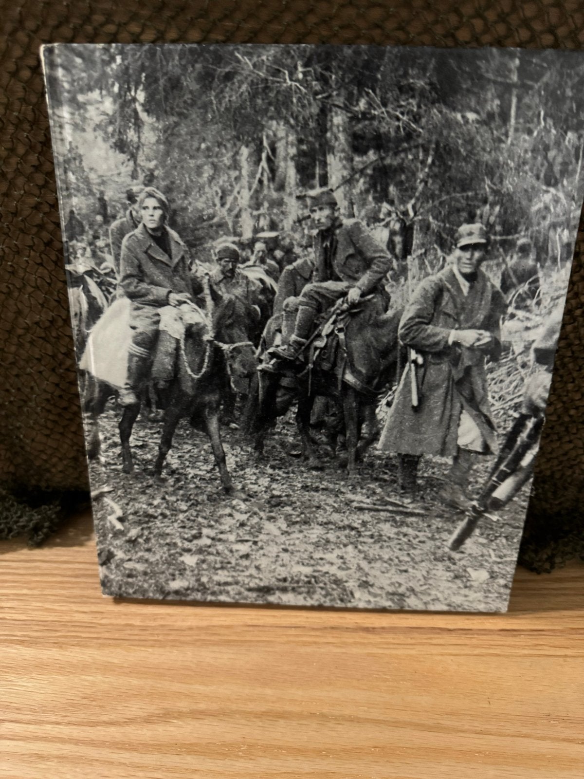 Boek Tweede Wereldoorlog: Soldaten in het Veld, Ophalen of Verzenden, Tweede Wereldoorlog, Gelezen, Algemeen