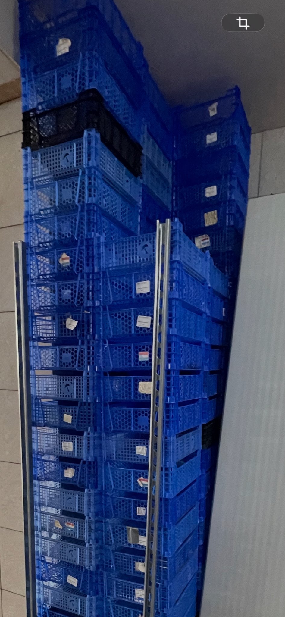 Blauwe kunststof stapel kratten bakken dozen, Gebruikt, 40 tot 60 cm, 50 tot 75 cm, Minder dan 35 cm