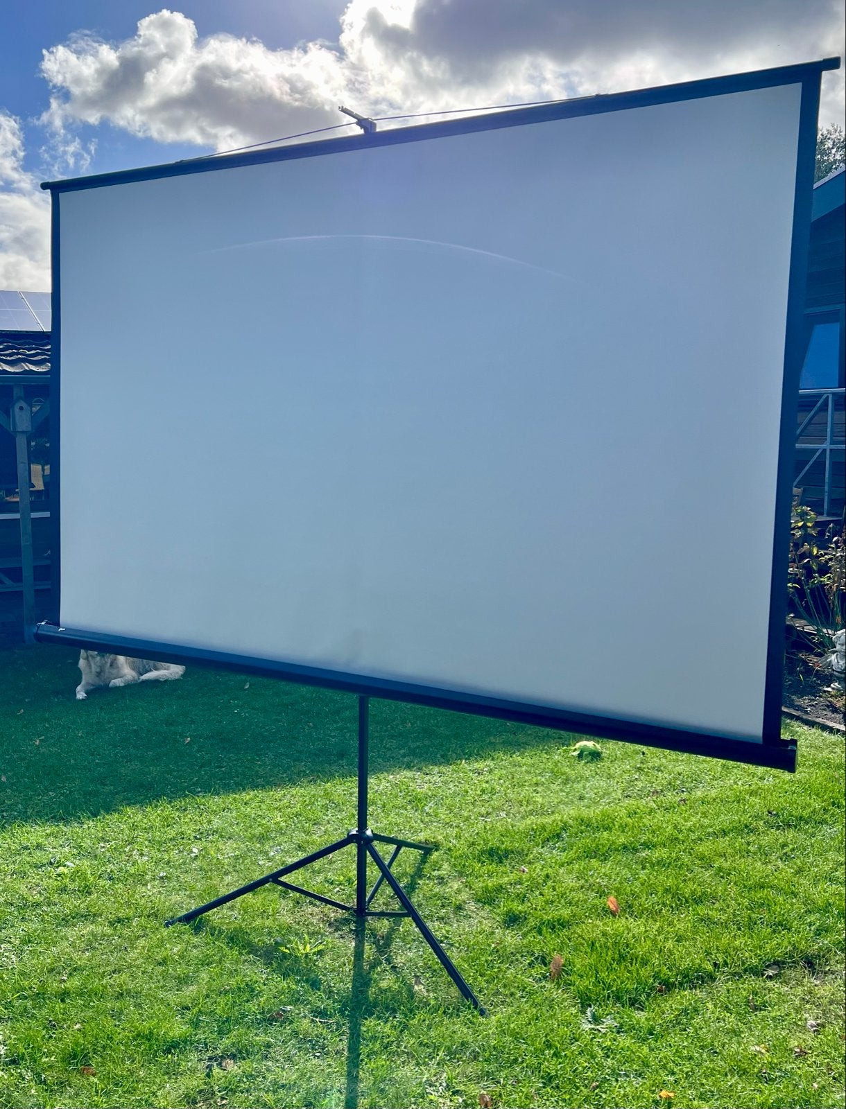 iVisions Projectiescherm op Statief - 252 cm breed, Audio, Tv en Foto, Ophalen, Handmatig, Gebruikt