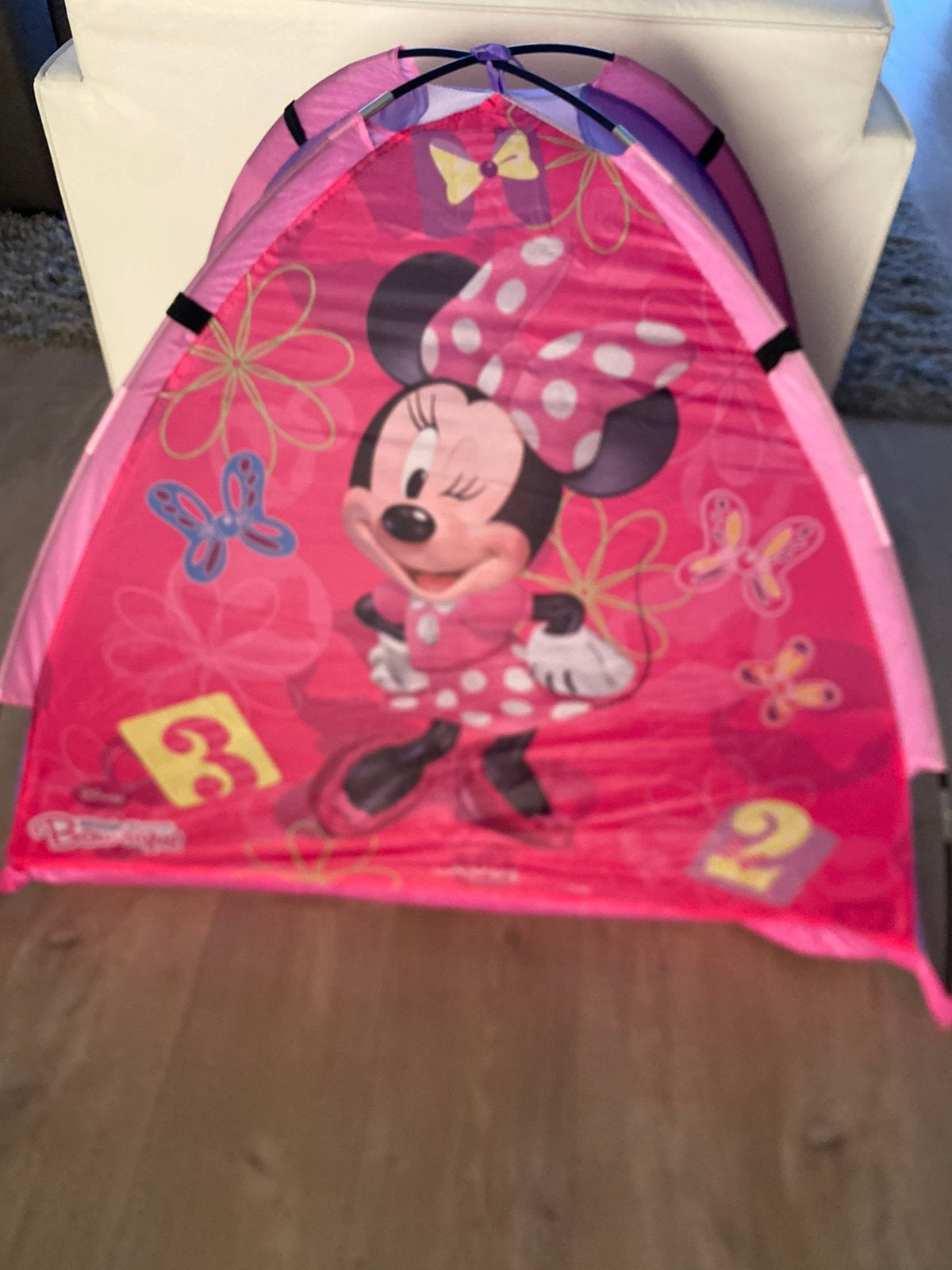 Minnie Mouse speeltent voor kinderen, Ophalen of Verzenden, Gebruikt