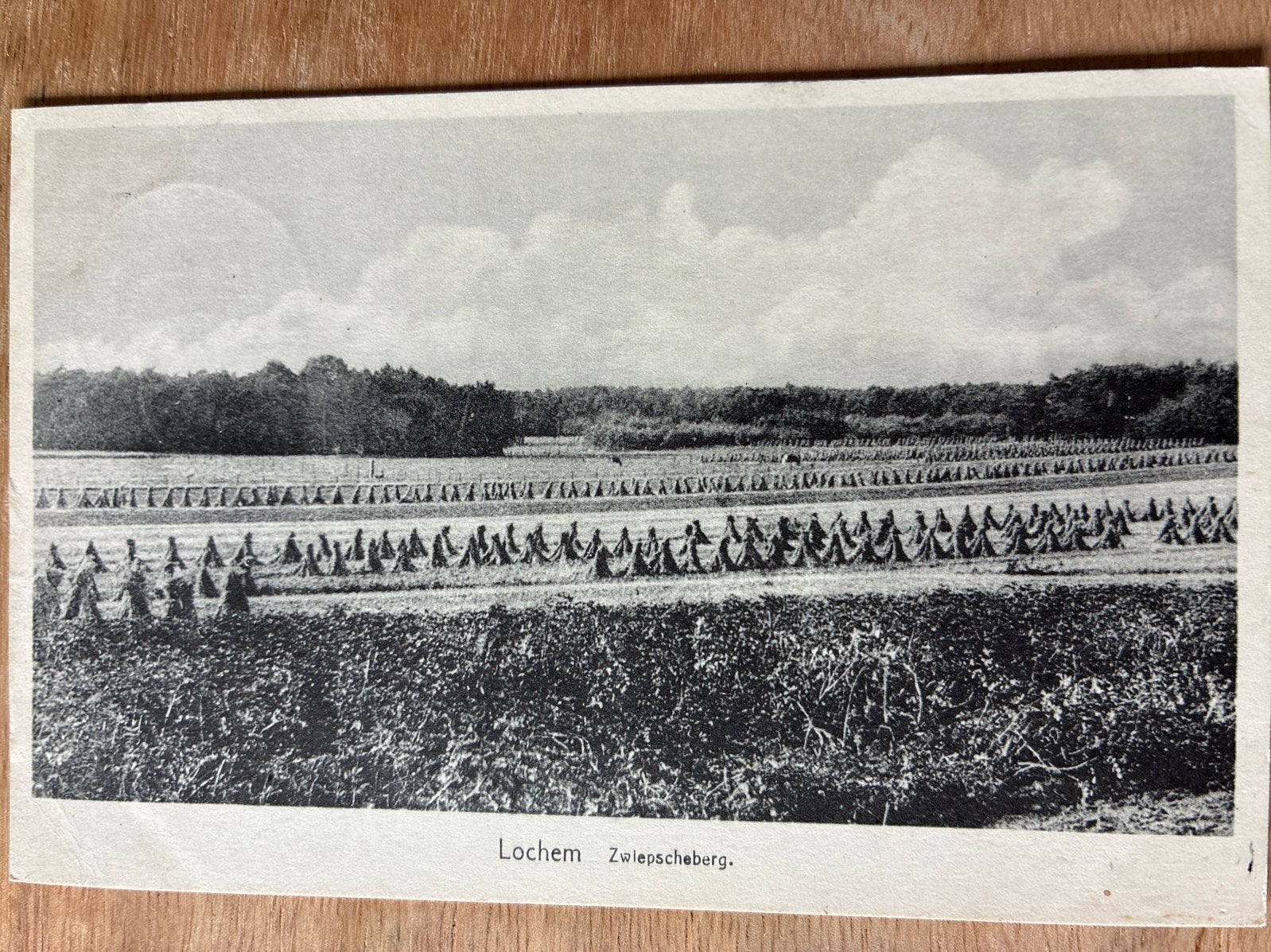 Oude ansichtkaart Lochem - Zwiepscheberg 1955, Ophalen of Verzenden, 1940 tot 1960, Gelopen, Gelderland