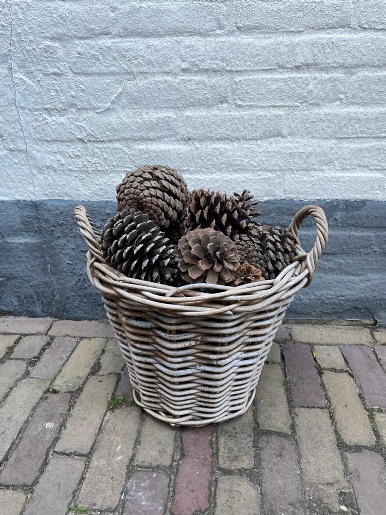 Decoratieve mand met grote dennenappels, Ophalen, Natuurlijk materiaal, Grijs, Landelijk