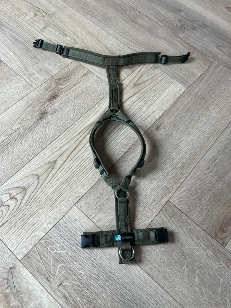 Hondentuig, Ophalen of Verzenden, Gebruikt