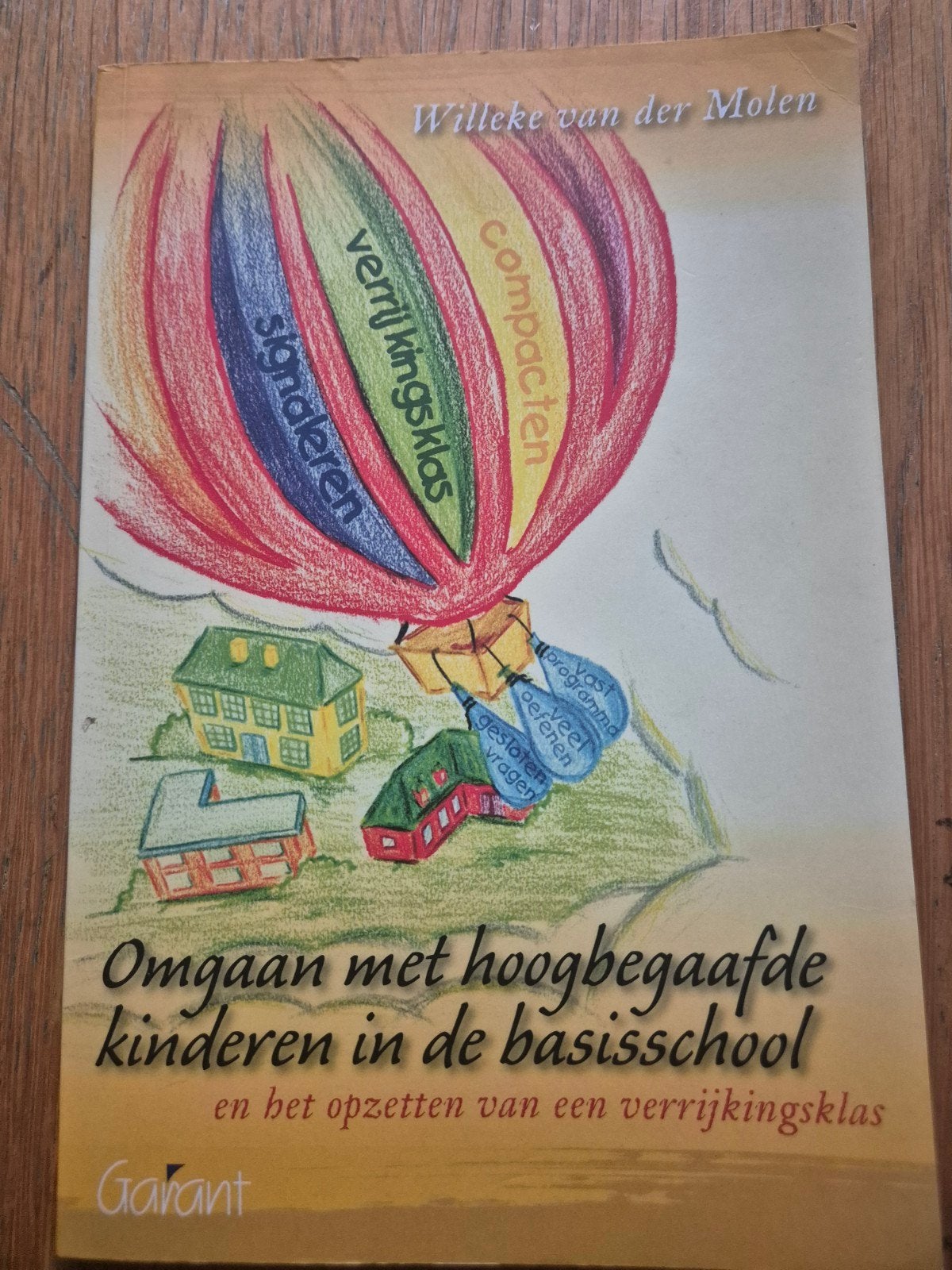 Omgaan met hoogbegaafde kinderen in de basisschool, Boeken, Willeke van der Molen, Overige vakken, Ophalen of Verzenden, Zo goed als nieuw