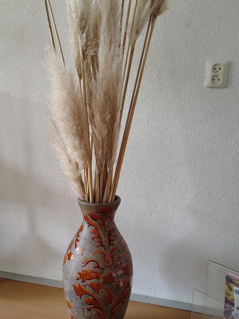 Pampas pluimen, Ophalen