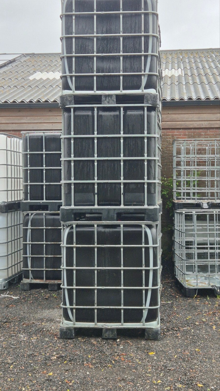 Zwarte anti-alg IBC 1000L, Ophalen, Kunststof, Met kraantje, 150 liter of meer
