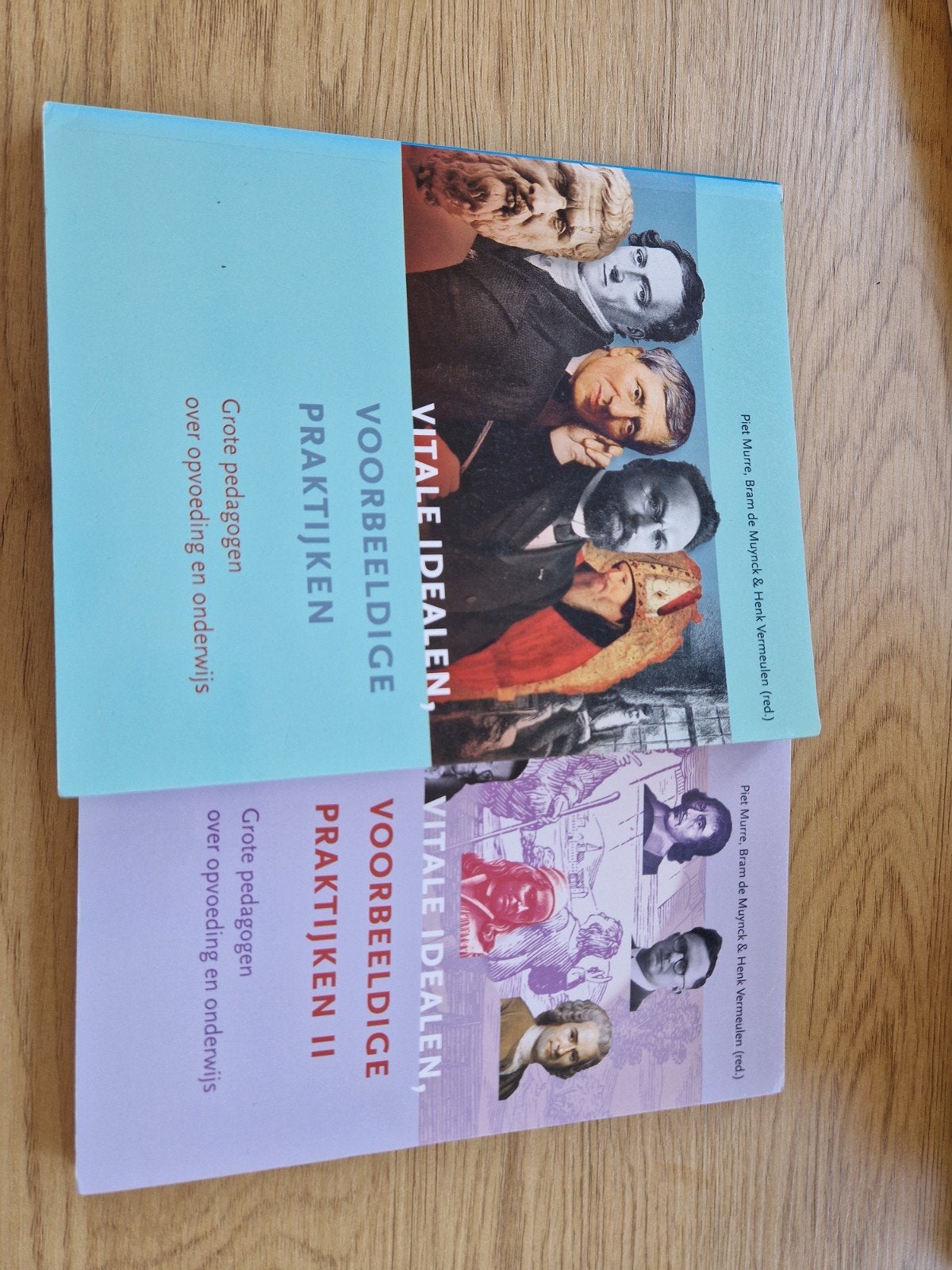 Vitale idealen, voorbeeldige praktijken - Onderwijsboek, Piet Murre, Bram de Muynck & Henk Vermeulen (red.), Zo goed als nieuw