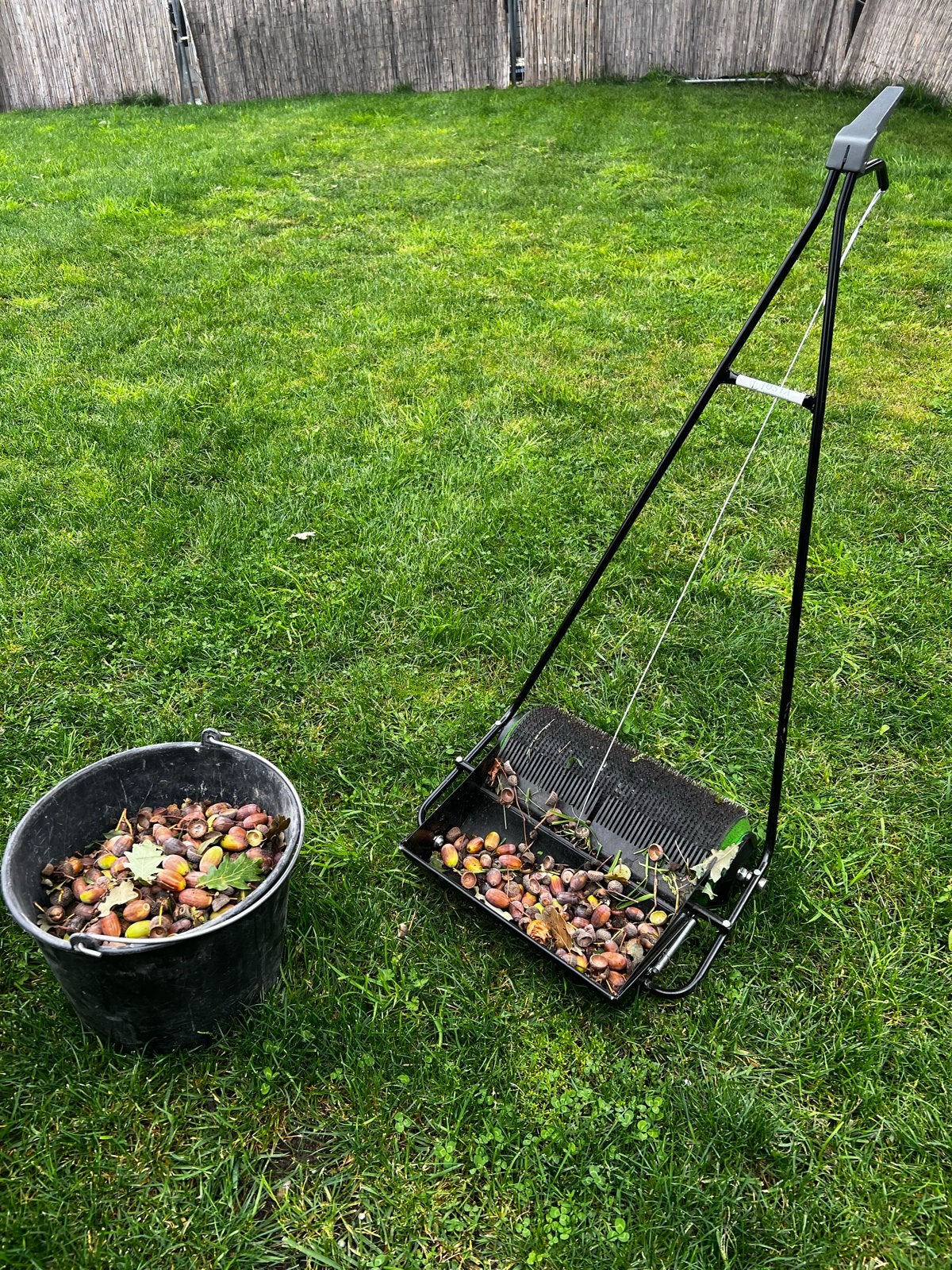 Eikelraapmachine / Notenraapmachine, Ophalen, Gebruikt