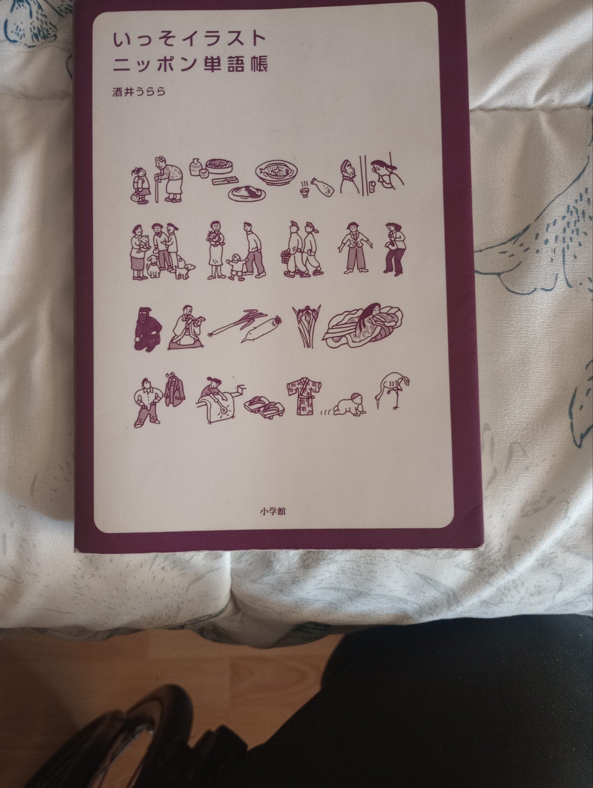 Japans geïllustreerd woordenboek/leerboek: Japans-Engels, Ophalen of Verzenden