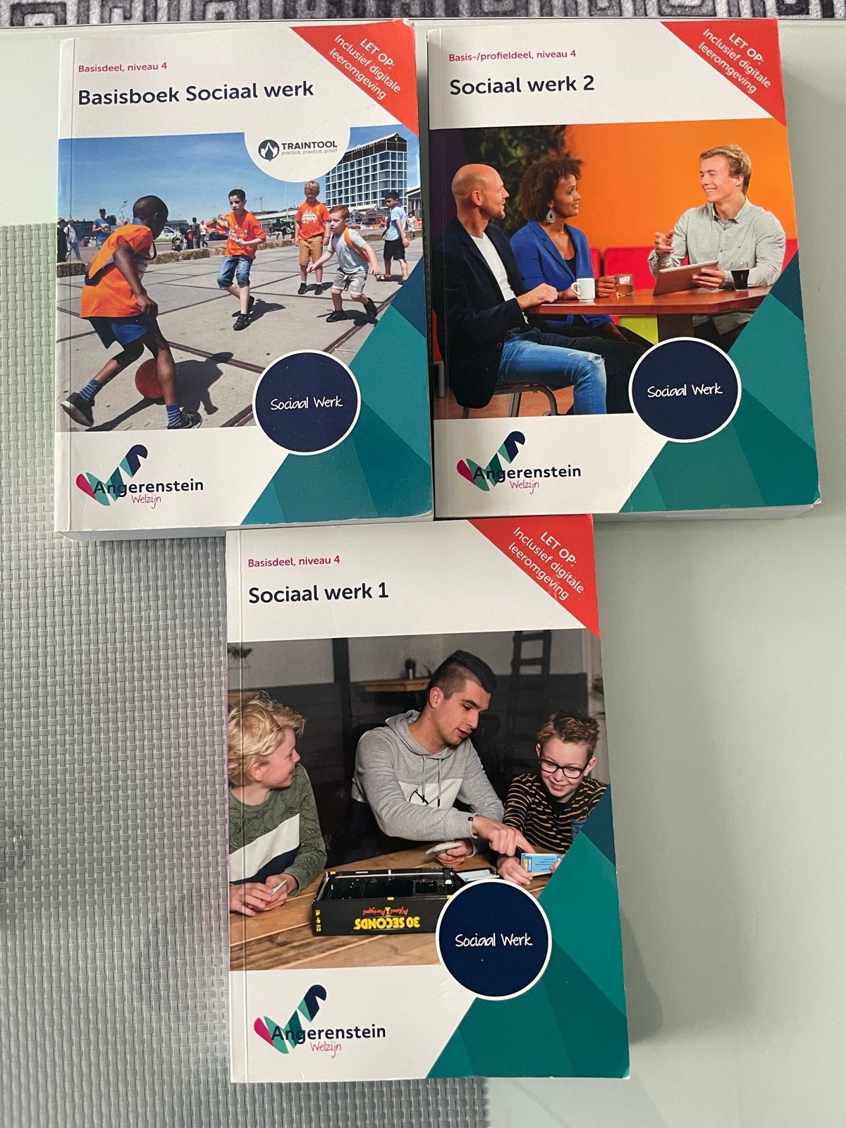 Angerenstein Welzijn Sociaal Werk Boeken (Niveau 4), Boeken, Ophalen of Verzenden, Gamma, Zo goed als nieuw, MBO