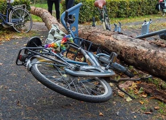 Bicyclerepair at home/ fietsreparatie aan huis, 57 cm of meer, Heren, Zo goed als nieuw, Geen vering