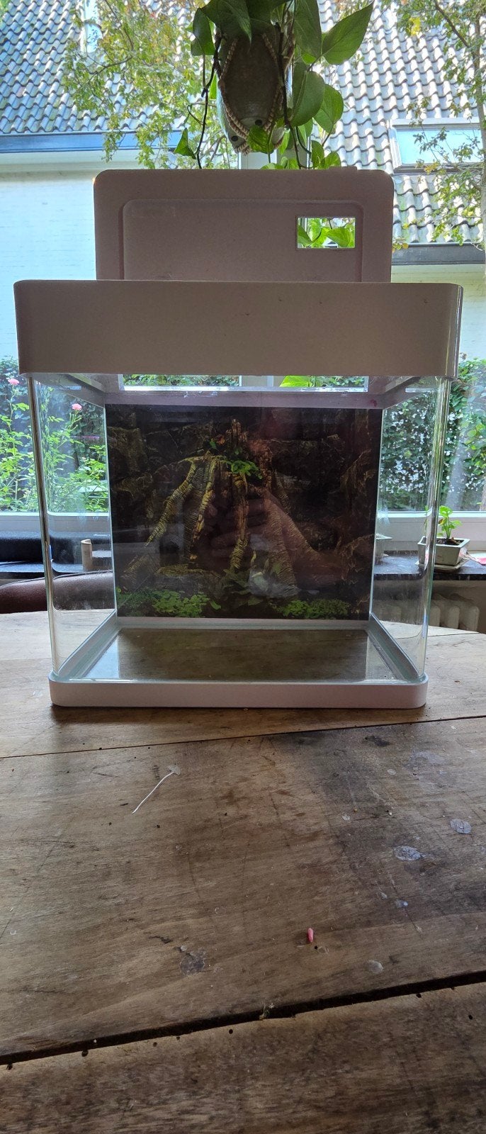 mooi superfish Aquarium, Inclusief deksel, Ophalen of Verzenden, Zo goed als nieuw, Superfish