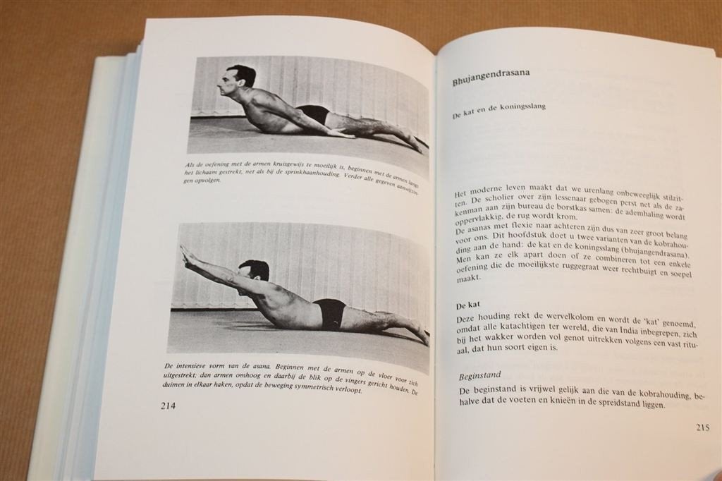 Yoga voor Gevorderden — Van Lysebeth, Met Voorbeeldfoto\'s, Boeken, Ophalen of Verzenden, Gelezen, Gezondheid en Conditie