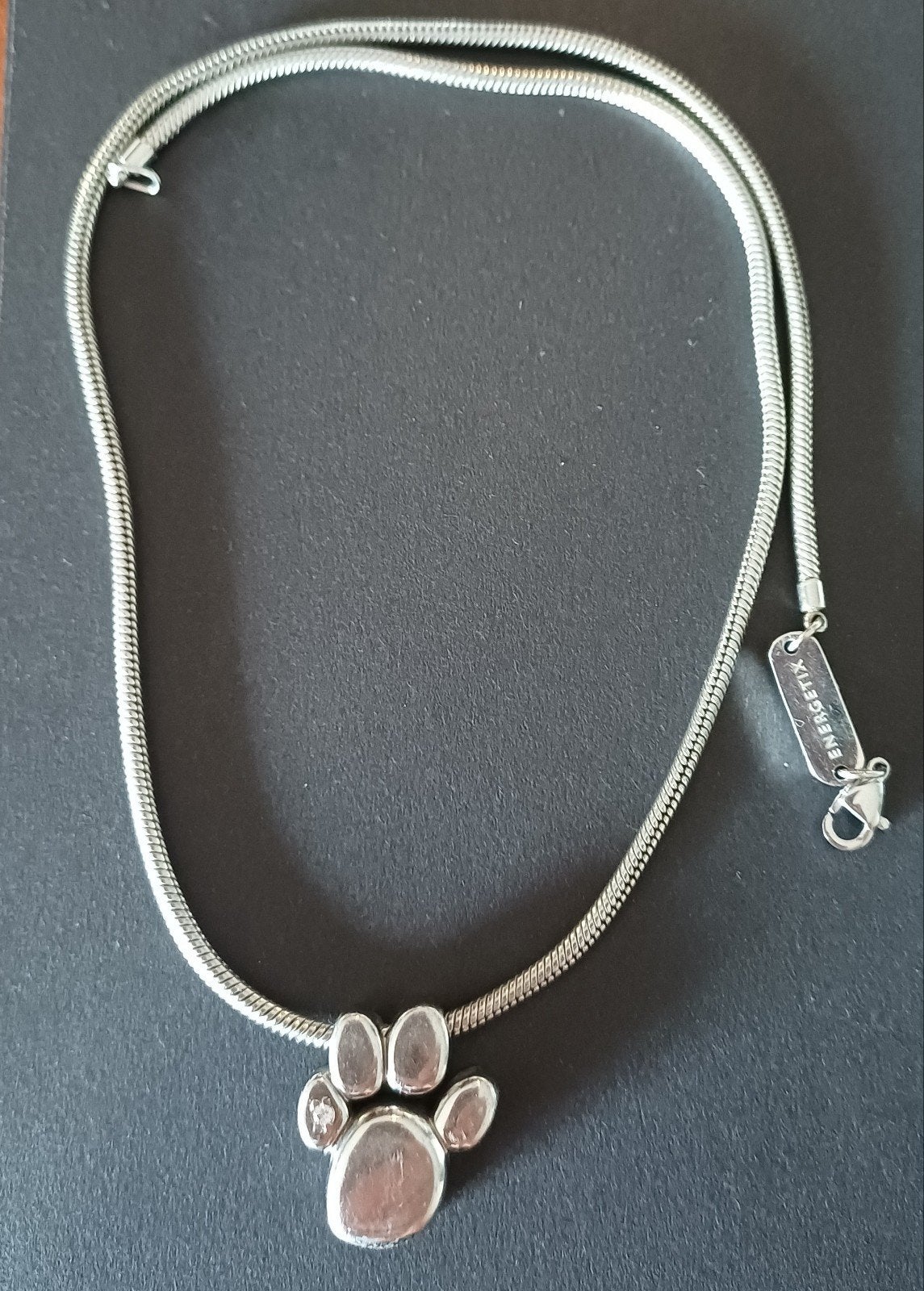 Energetix ketting L met hondenpoot met steentje, Ophalen of Verzenden, Staal