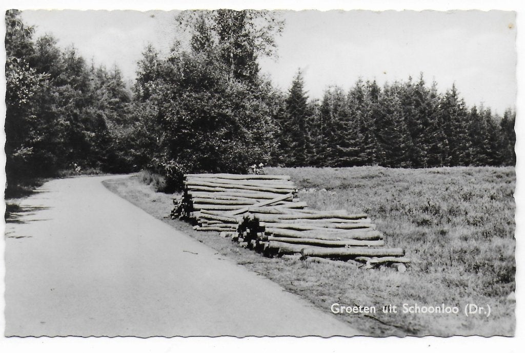 Schoonloo gelopen Ansichtkaart (B8328), Ophalen of Verzenden, 1920 tot 1940, Gelopen