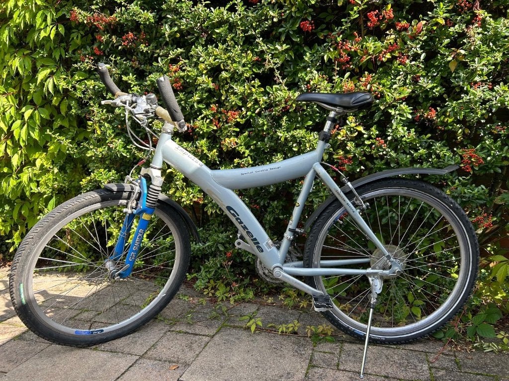 fiets, Fietsen en Brommers, Gebruikt, Schijfrem, Gazelle, Ophalen