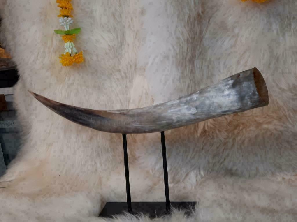 Watusi Hoorn Bewerkt op Luxe Stalen Voet, Verzenden, Westerndeco, Nieuw, Info@westerndeco.nl