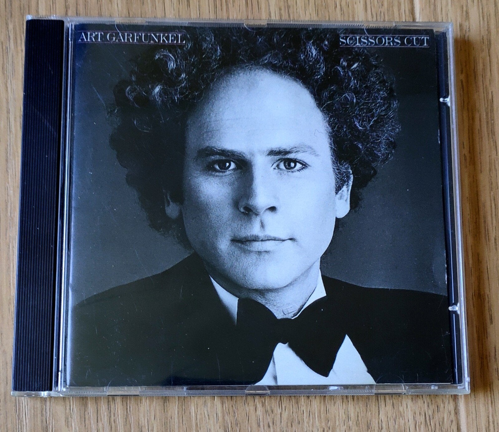 Art Garfunkel - Scissors Cut (CD), Ophalen of Verzenden, Gebruikt