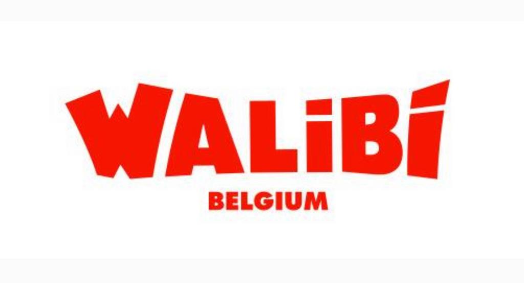 Walibi Belgium, Tickets en Kaartjes, Twee personen, Ticket of Toegangskaart