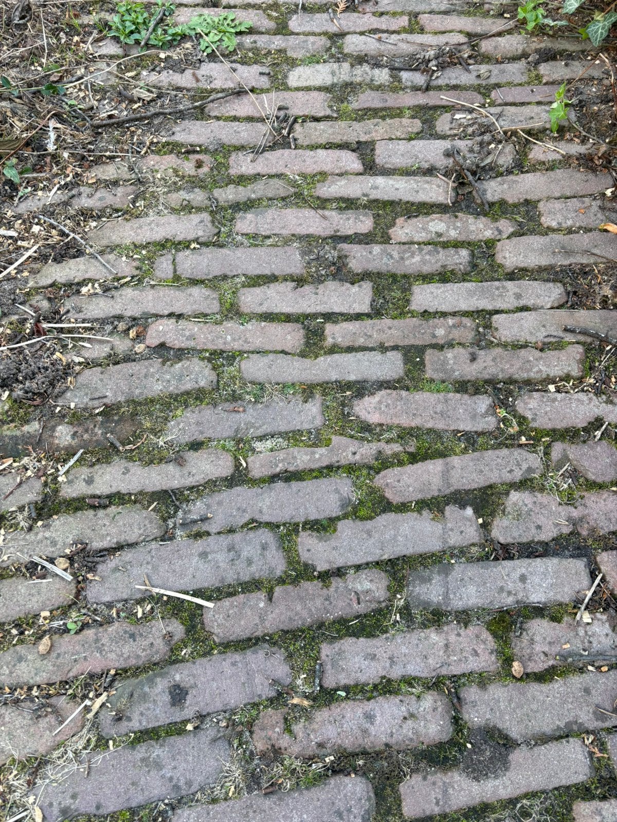 Gebakken klinkers, Tuin en Terras, Ophalen, Gebruikt, 10 m² of meer, Klinkers