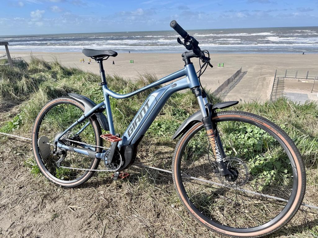 Giant Talon E+ elektrische MTB maat XL kleur Blue ashes 2021, Fietsen en Brommers, Ophalen, Gebruikt, Giant, 50 km per accu of meer