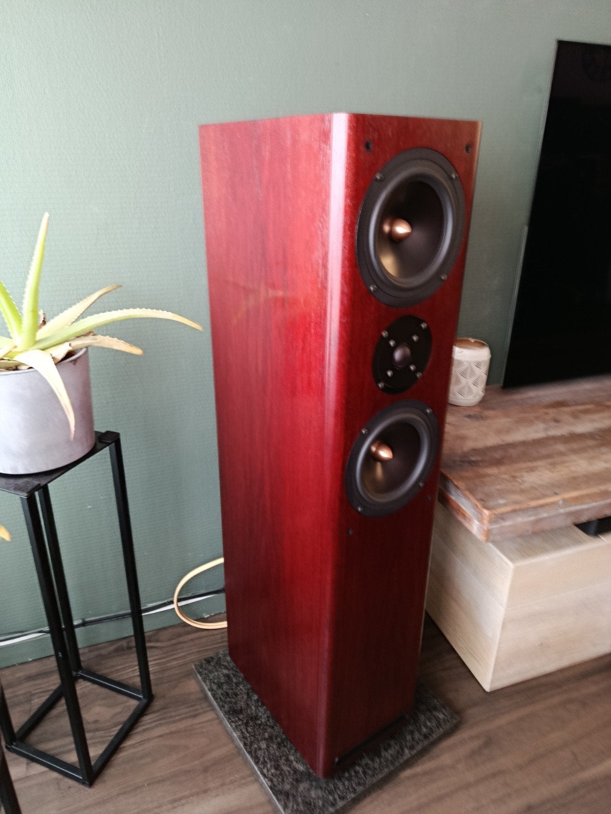 ASW Cantius V Vloerstaande Luidsprekers, Vloerstaande luidspreker, 120 tot 150 watt, Zo goed als nieuw, Basreflex