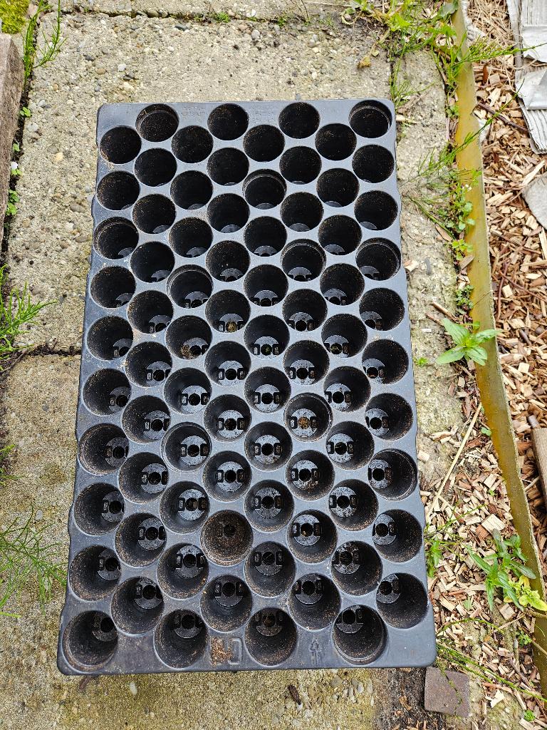 Stektrays 51, 60 of 104 gaats, diverse maten, Tuin en Terras, Kweekspullen, Ophalen of Verzenden, Gebruikt, Overige typen