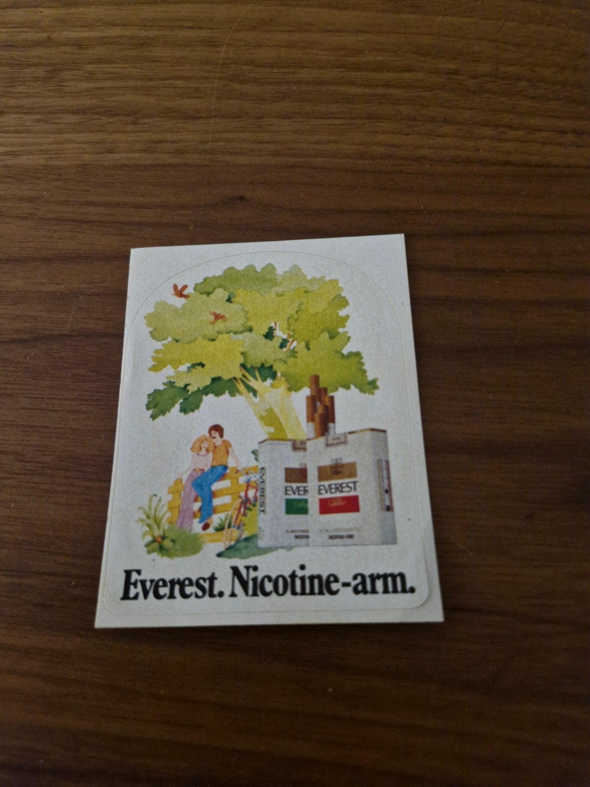 10903 Vintage Everest Nicotine-arm sticker, Ophalen of Verzenden, Gebruikt, Overige typen