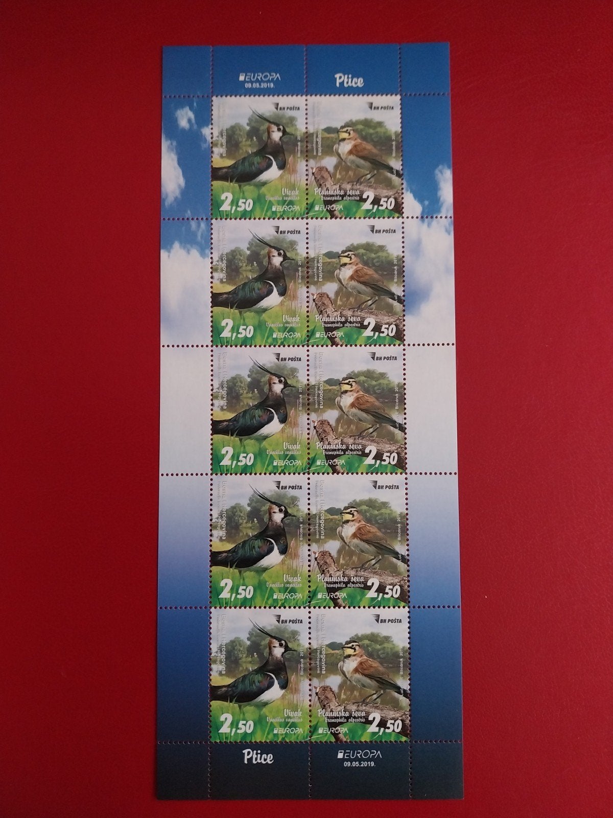 Europa Bosnië Herzegovina klb788-789 vogels 2019 postfris 30, Ophalen of Verzenden, Dier of Natuur