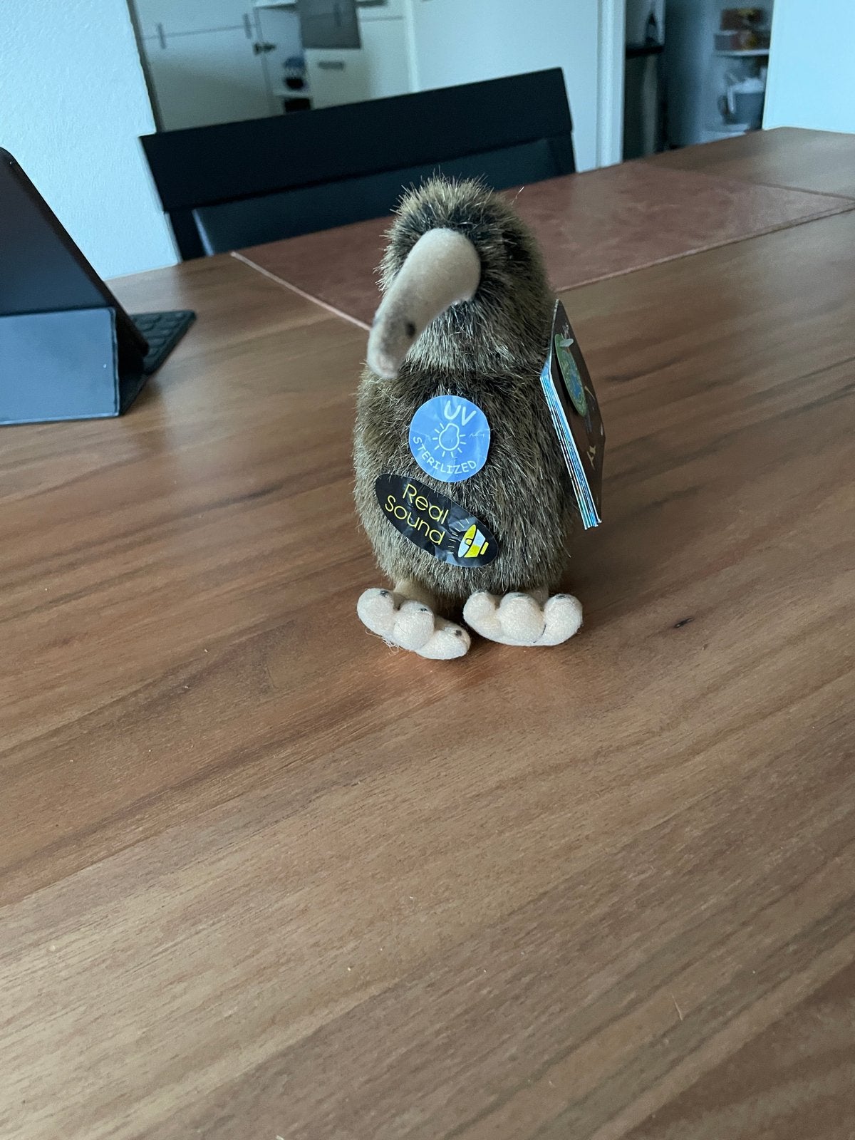 Antics Kiwi Knuffel met Geluid - Nieuw, Overige merken, Met geluid, Overige karakters, Overige typen