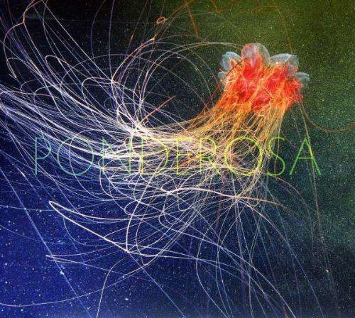 SALE-> CD PONDEROSA - Pool Party, Verzenden, Zo goed als nieuw, Poprock