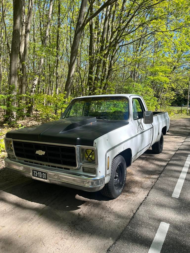 Chevrolet 1975 Wit, 213 pk, Chevrolet, Wit, 7440 cc
