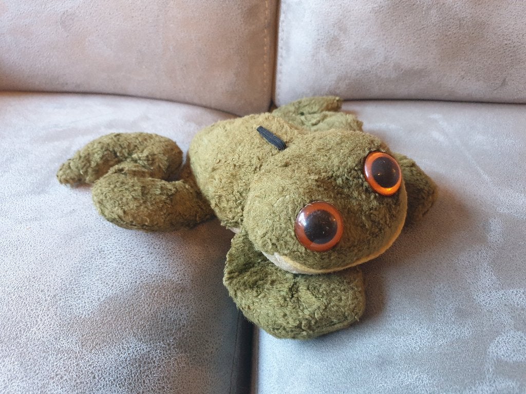 Knuffel - Kikker, Ophalen of Verzenden, Gebruikt, Kikker