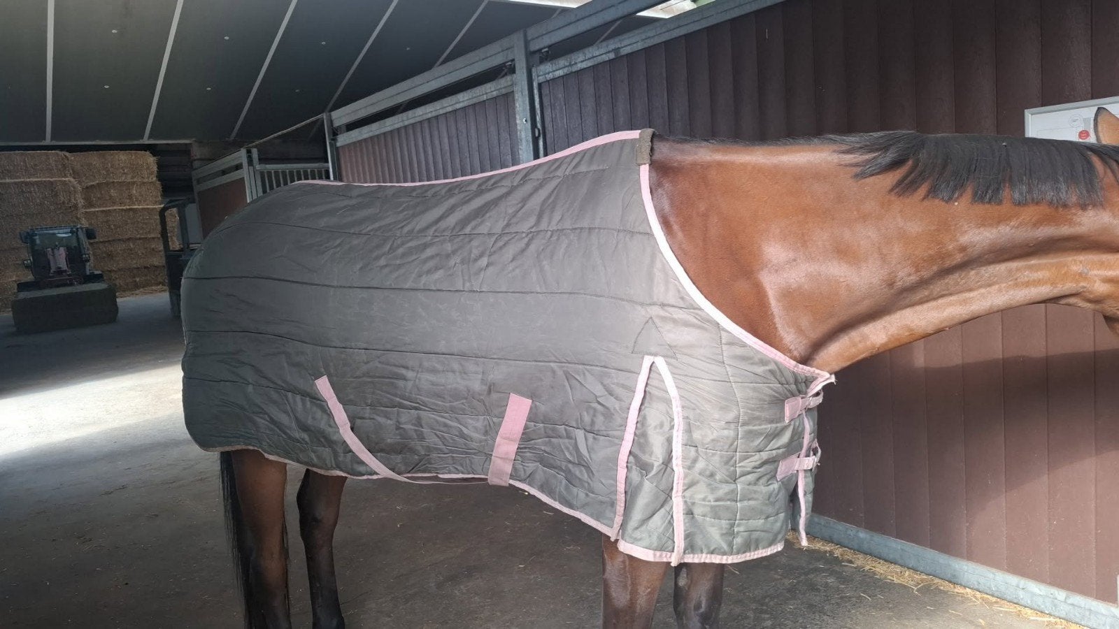 onderdeken 100 gram, Dieren en Toebehoren, Paarden en Pony's | Dekens en Dekjes, Full (L), 100 g, Ophalen of Verzenden, Groen