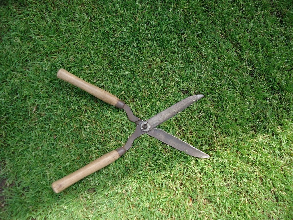 Vintage hand heggenschaar - scherp werkend gereedschap, Tuin en Terras, Ophalen of Verzenden, Gebruikt, Overige soorten