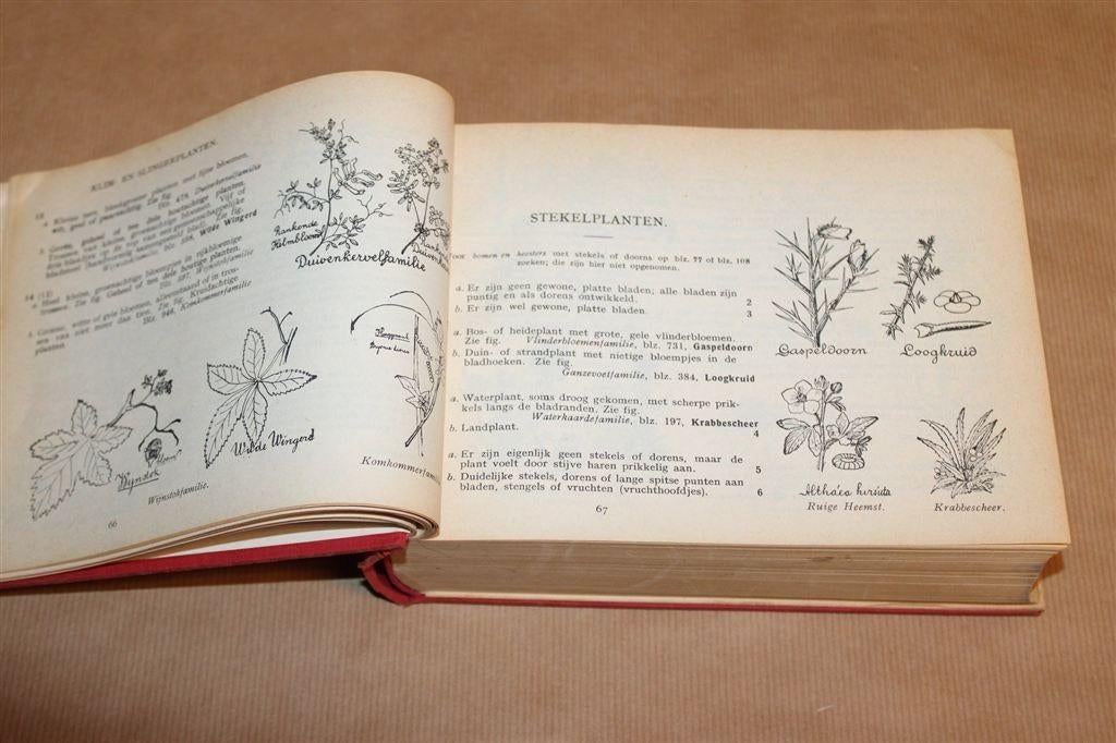 Geïllustreerde Flora Van Nederland — Heimans Thijsse [1960], Boeken, Ophalen of Verzenden, Gelezen, Bloemen, Planten en Bomen