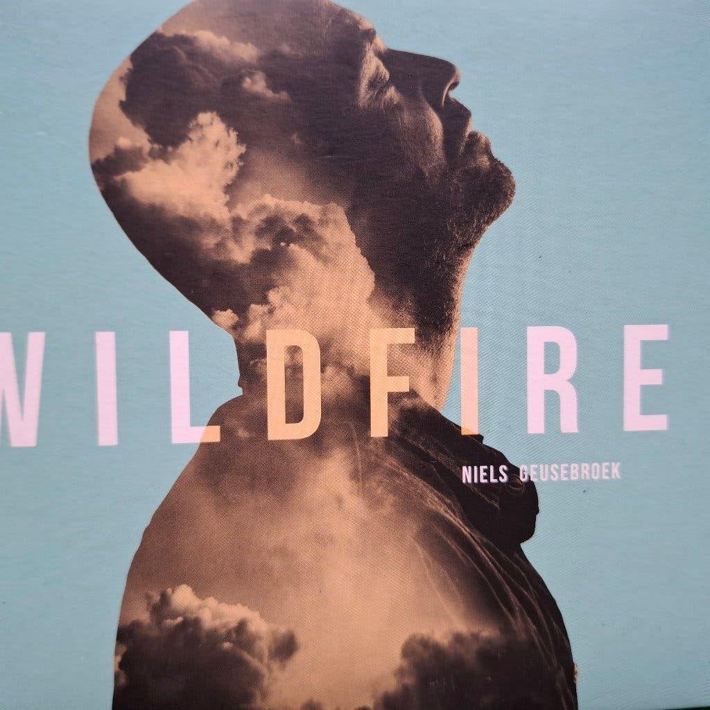 NIELS GEUSEBROEK - WILDLIFE, Ophalen of Verzenden, Zo goed als nieuw, Pop, Album