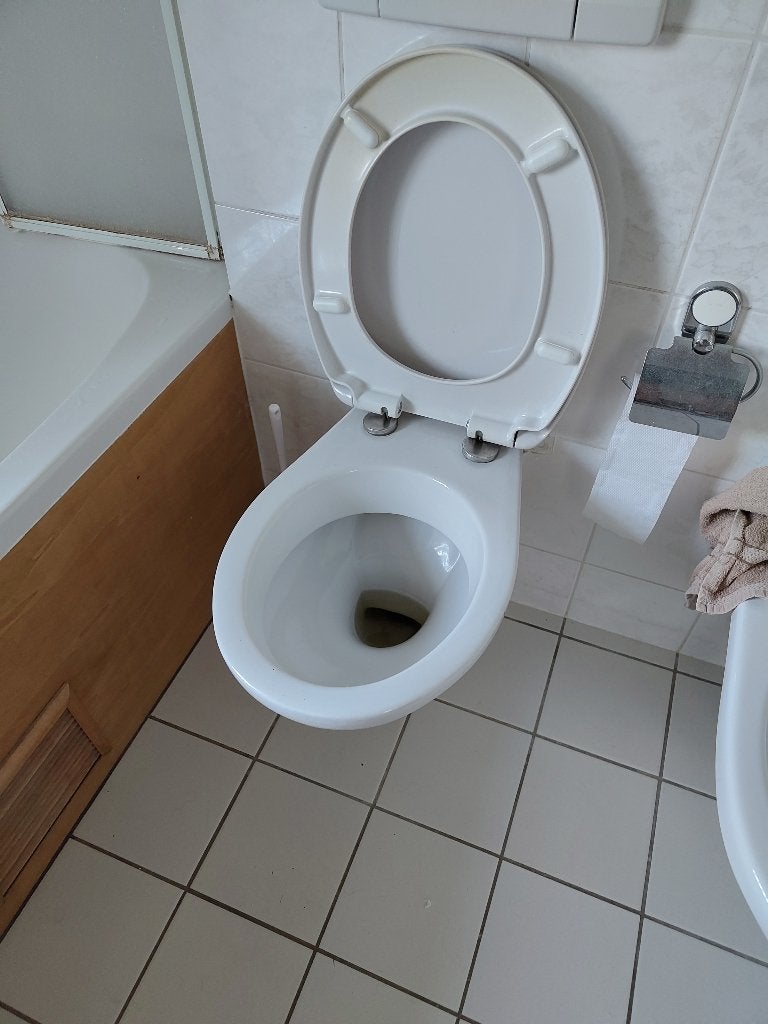 Wandcloset toilet, incl. zitting (vanaf half sept), Ophalen, Gebruikt, Toilet